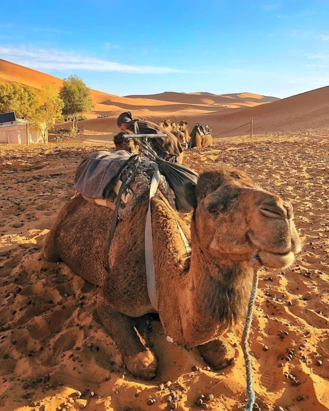 Luxury Sunrise Camp Luxury tent Merzouga