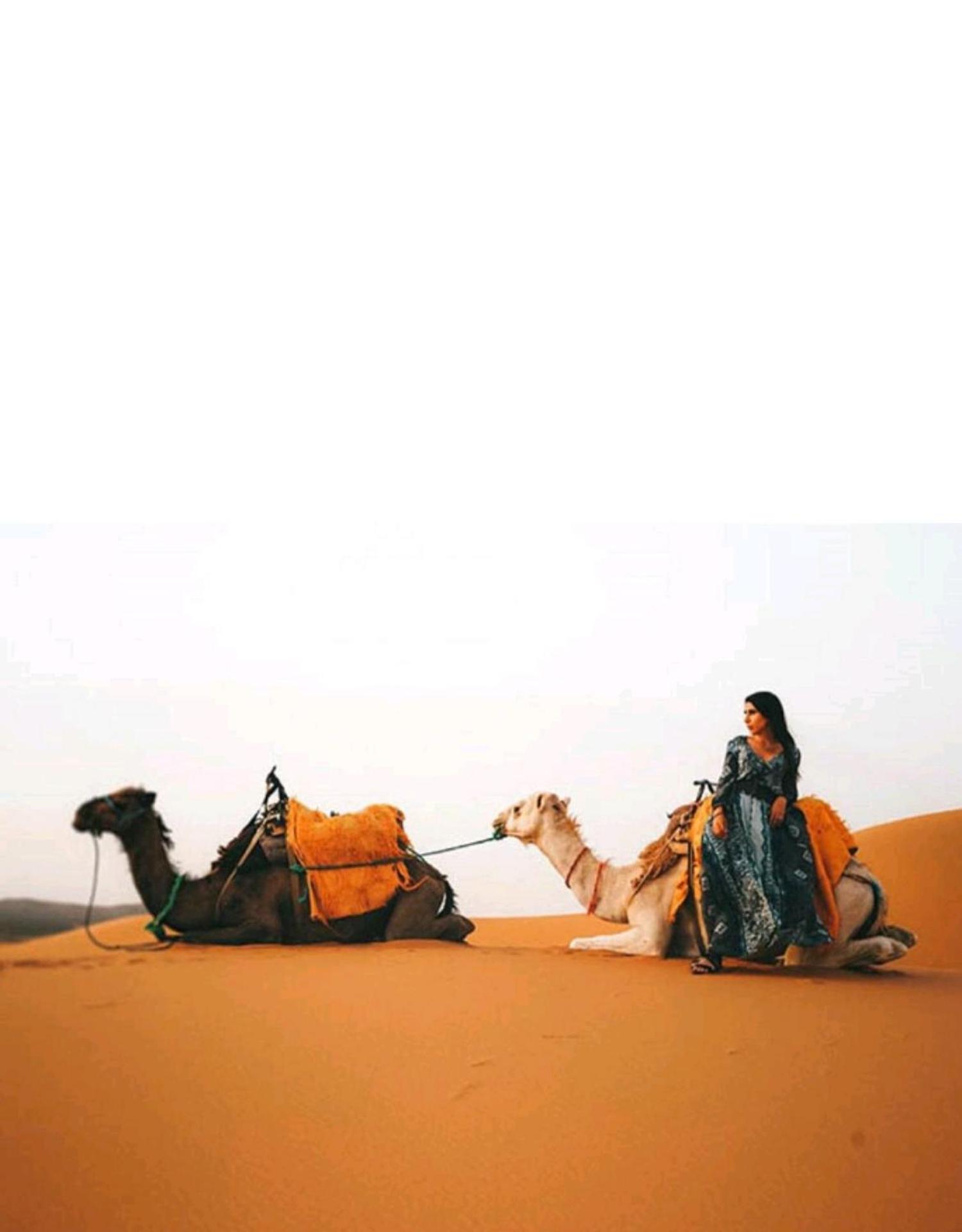 Luxury tent Luxury Sunrise Camp Merzouga