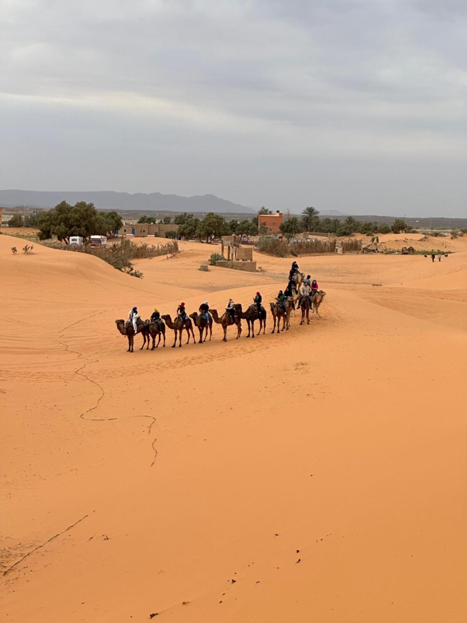 Luxury tent Luxury Sunrise Camp 5*